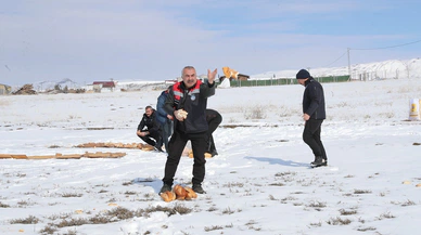 Sivas Belediyesi Yaban Hayvanlarını Unutmadı