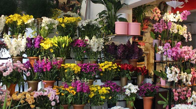 Sevgililer Gününde Çiçeklere Yüzde 50 Zam