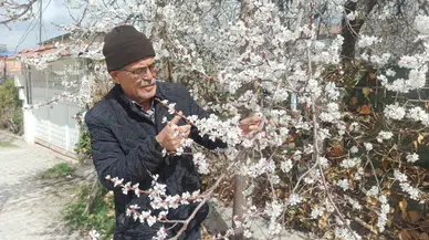 Üreticiler Don Tehlikesiyle Karşı Karşıya