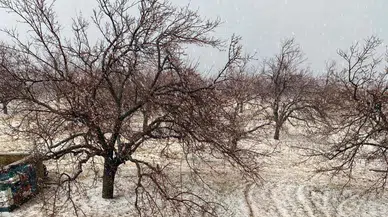 Bir Tarafta Buz Bir Tarafta Dolu