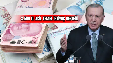 3.500 TL Acil Temel İhtiyaç Desteği
