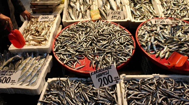 Sivas'ta Ramazan Ayı ile Balık Satışı Durdu