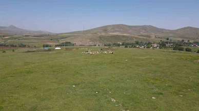 O toplantı yarın! Sivas meralarının kaderi belli mi olacak?