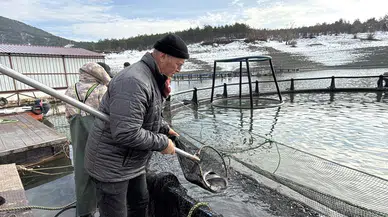 Deniz yok ama balık çok