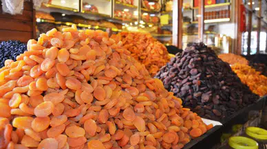 Kayısı ihracatında artış