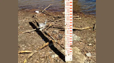 Su seviyesi sıfıra indi barajlarda doluluk oranı tezat oluşturuyor