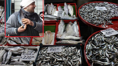 Balık sezonu kapanıyor! Kültür balıkçılığı sezonu başlıyor