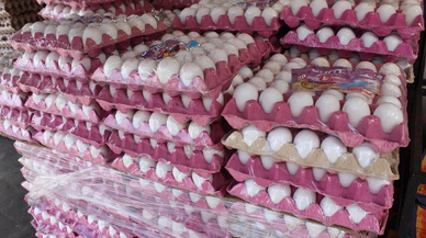 Cep yakıyordu şimdi yüz güldürüyor! Yumurtada şok düşüş!