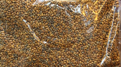 Sivas’ta unutulan gurbetçi sofrasında yaşayan o lezzet