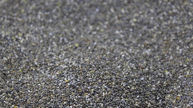 Bu tohum doğal şifa arayanların yeni gözdesi