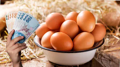 Cebine Dost Yumurtalar Üniversiteli Tavuklardan!