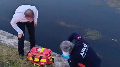 Sivas'tan doğan nehirde korkutan olay! AFAD devrede