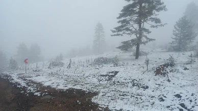 Sivas'ta kar yağışına devam