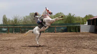 Kadınlar dizilerle atçılığa merak sardı