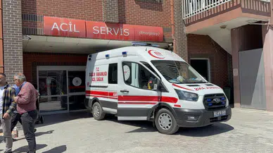 Koyulhisar'da küçük Metehan’ı hayattan koparan ısırık