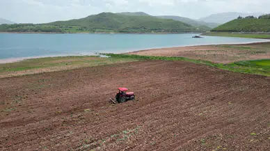Dört Yıl Önce Barajdı Şimdi Tarla Oldu!