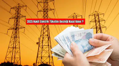 2025'te Nakit Elektrik Tüketim Desteği Nasıl Alınır?