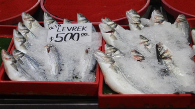 Mayıs ayında tüketilmesi gereken balıklar hangisi?