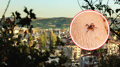 Sivas’ta Sessiz Tehlike Geri Döndü! Piknik Keyfi Ölümle Sonuçlanmasın