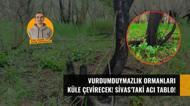 Vurdumduymazlık ormanları küle çevirecek! Sivas'taki acı tablo!