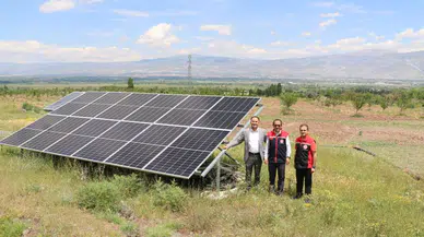 Güneş enerjili bahçede teknolojiyle ceviz yetişiyor
