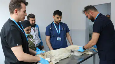 Sivas'tan Türkiye'ye Örnek Olacak Hamle