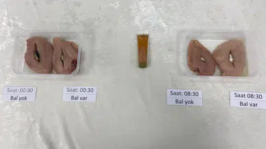 Evinizdeki O Masum Eşya Tehlikeli Olabilir! Hemen Bantlayın!