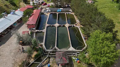 Sivas'ın Denizi Yok Ama Balığı Dünyayı Dolaşıyor!