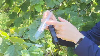 Fındıkta Verim Savaşında Yeni Dönem Başladı