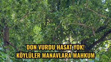 Don vurdu hasat Yok! Köylüler manavlara mahkum