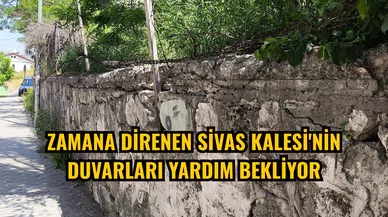 Zamana direnen Sivas Kalesi'nin duvarları yardım bekliyor