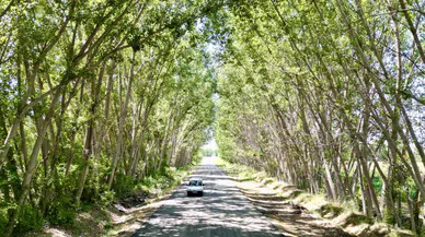 Doğanın Sanata Dönüştüğü Yer!
