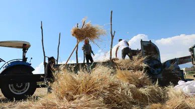 Çiftçiler karınca misali çalışıyor