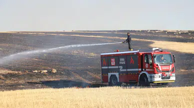 Çiftçinin En Büyük Yanılgısı! Sivaslı Profesör Açıkladı