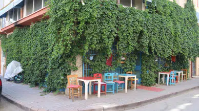 Sivas'taki Bu Sarmaşıkların Altında Bir Kafe Var!