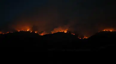 18 günde 61 orman yandı, 23 gözaltı