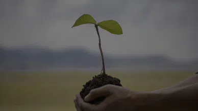 O Meslek Sahipleri Bu Tarihe Dikkat! Sınavın Günü ve Şartları Resmen Belli Oldu!