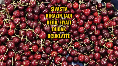 Sivas'ta Kirazın Tadı Değil Fiyatı Dudak Uçuklattı!