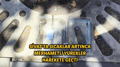 Sivas'ta sıcaklar artınca merhametli yürekler harekete geçti