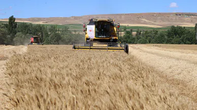 Sivas Ziraat Odası 2025 yılı biçerdöver hasat ücretlerini açıkladı