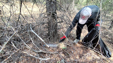 Cumhuriyet Üniversitesi'nde ormanlarda temizlik