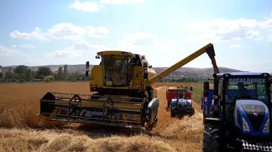 Sivas Cumhuriyet Üniversitesi'nde hasat bereketi