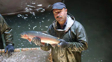 Sivas'tan Karadeniz'e Oradan Rusya'ya Gidiyorlar!