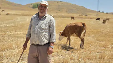 Sağlığını çobanlığa borçlu