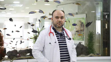 Çocukları ishalden koruyan şefkat