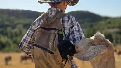 Çantasındaki Sırla Köye Döndü