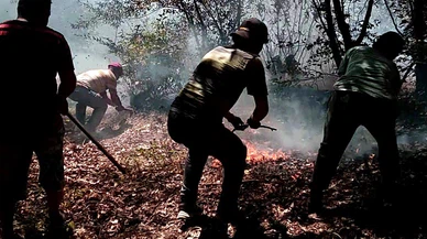 Ordu’da fındık bahçesi ve ormanlık alanda çıkan yangınlar söndürüldü