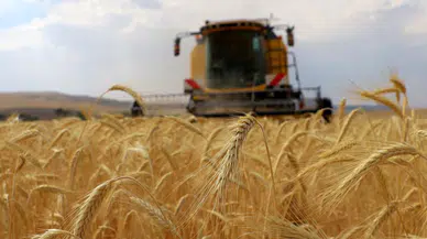 ÇKS başvuruları başlıyor! İşte dikkat edilmesi gerekenler