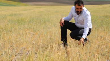 Sivas'tan gübre ve tohum fiyatlarına denetim talebi