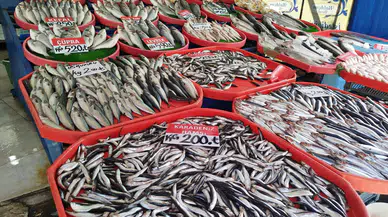 Tezgahlar Balık Doldu, Sivaslının Tepsisi Boş Kaldı!